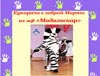 Highslide JS